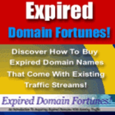 Product picture expired domain fortunes effortless traffic adsense income